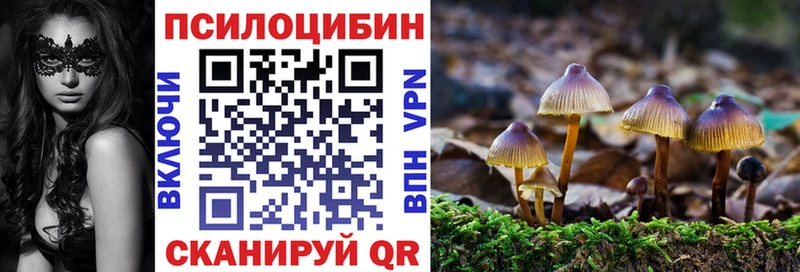 Псилоцибиновые грибы Psilocybe Купино